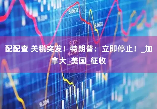 配配查 关税突发！特朗普：立即停止！_加拿大_美国_征收