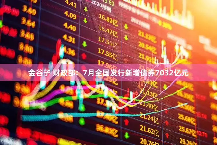 金谷子 财政部：7月全国发行新增债券7032亿元