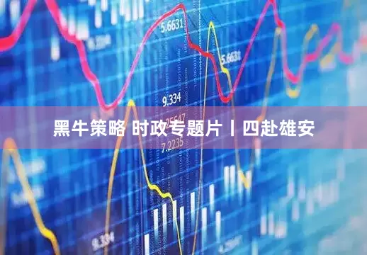 黑牛策略 时政专题片丨四赴雄安